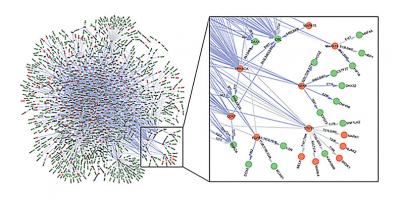 Network graphic